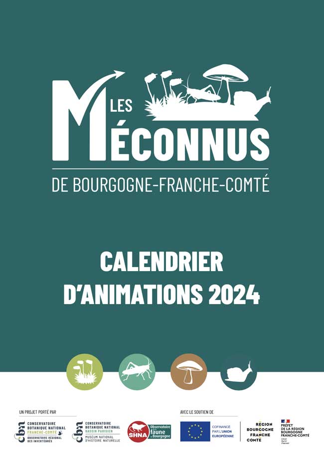 Animations et sorties mollusques champignons mousses Bourgogne-Franche-Comté