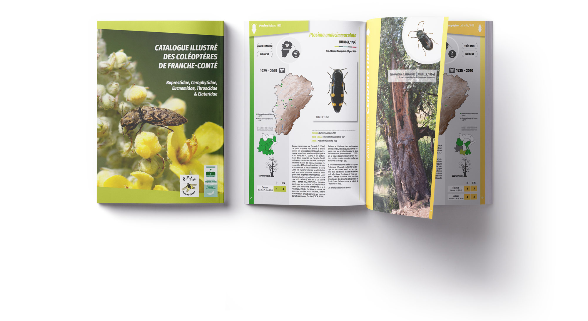 catalogue Atlas coléoptères Franche-Comté 