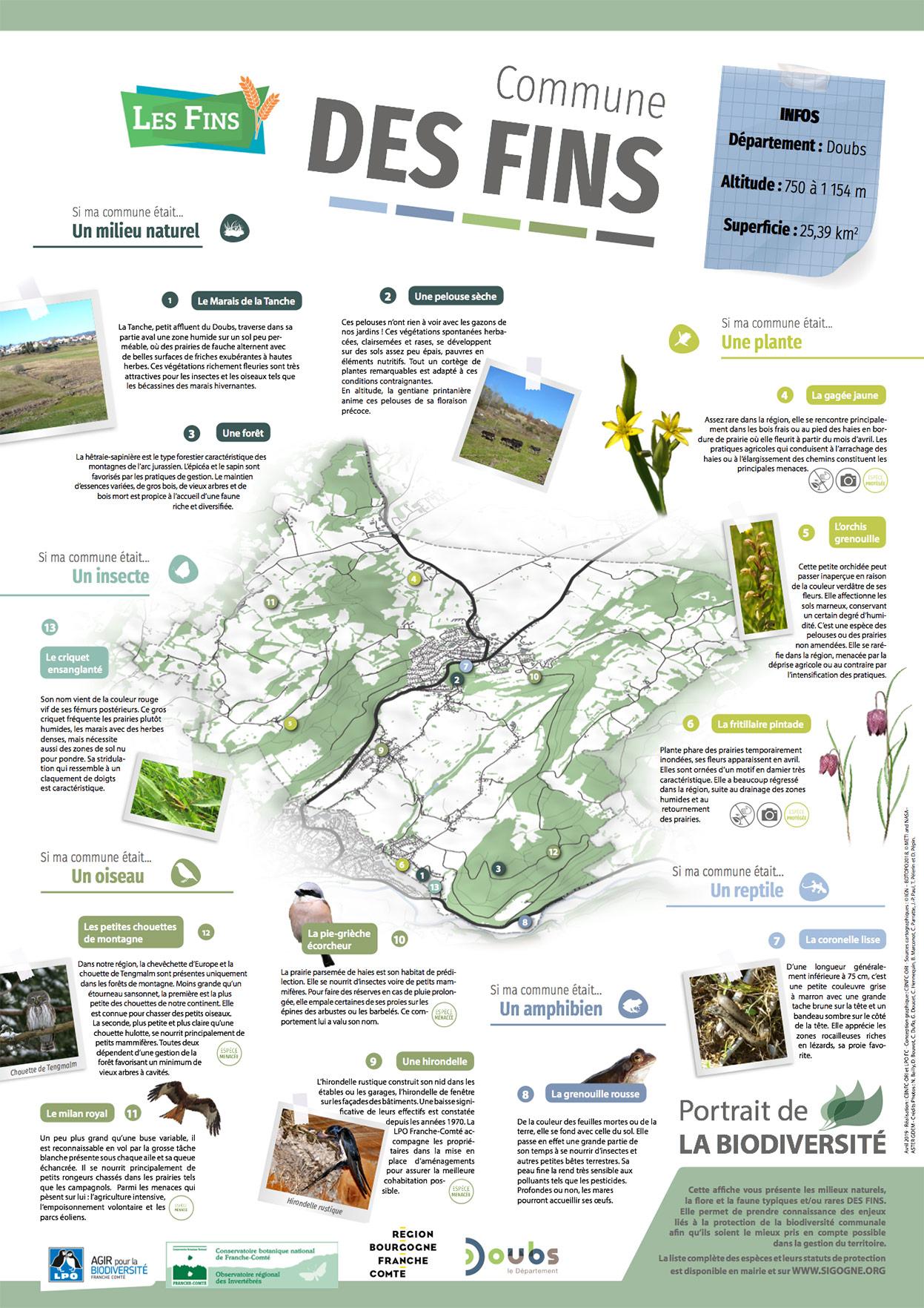 Les fins Poster portraits de la biodiversite 2019 CBNFCORI