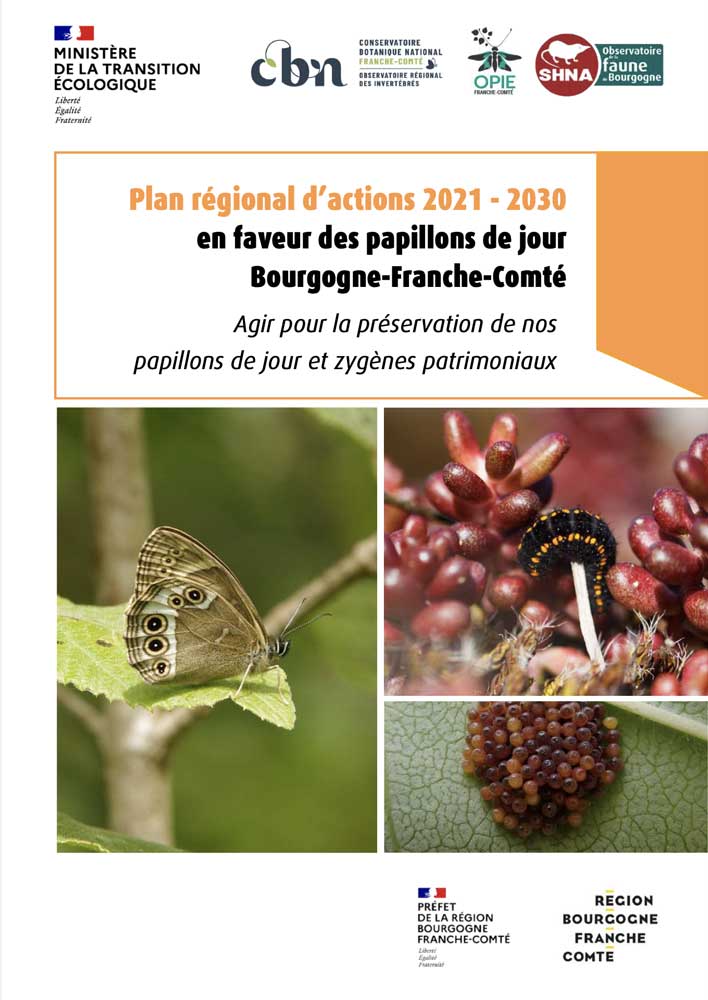 PRA-Rhopaloceres-Bourgogne-Franche-Comte-papillons-jour-plan-action_CBNFC-ORI