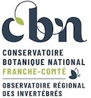 Logo CBN FC