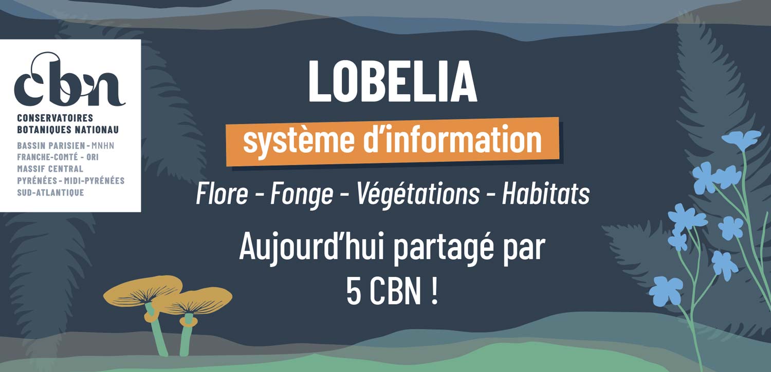 Projet Lobelia