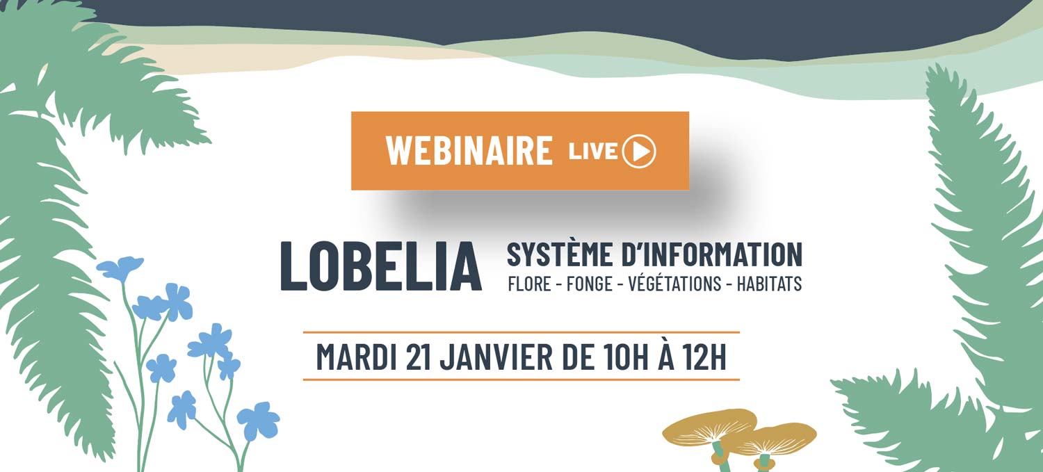 Webinaire Lobelia janvier 2025 CBNFC-ORI Franche-Comté