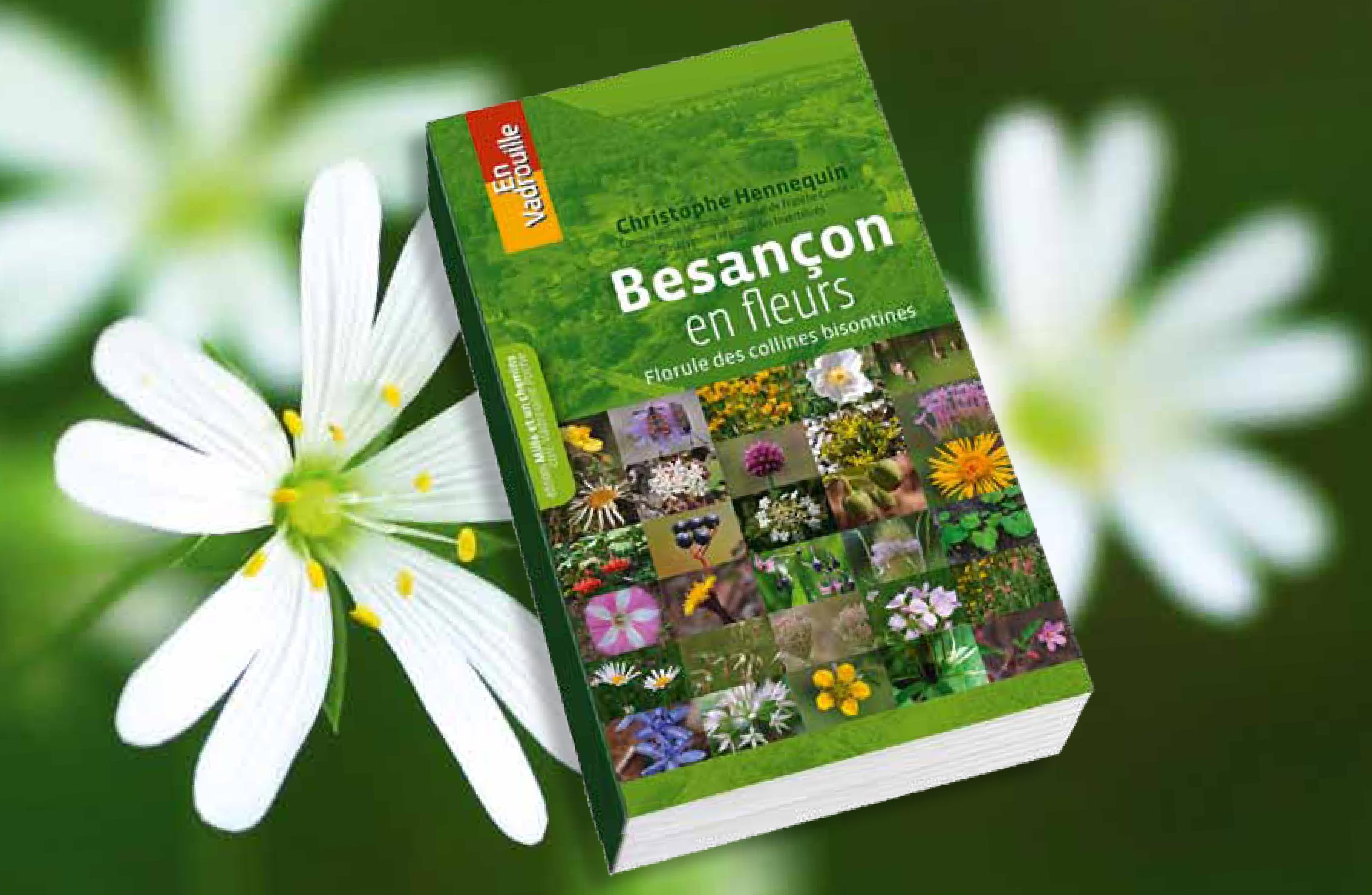 Vadrouilles botaniques avec la Florule de Besançon