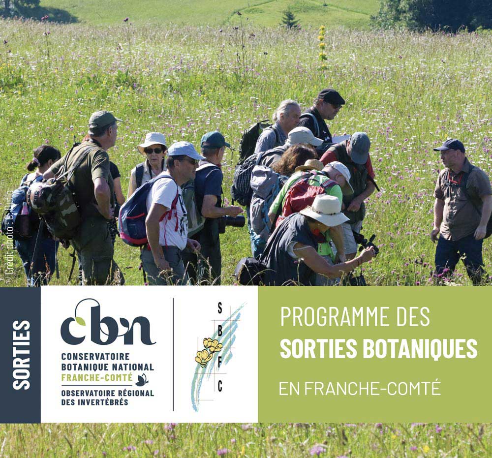 Sorties botanique Franche-Comté Doubs Jura Belfort Haute-Saône