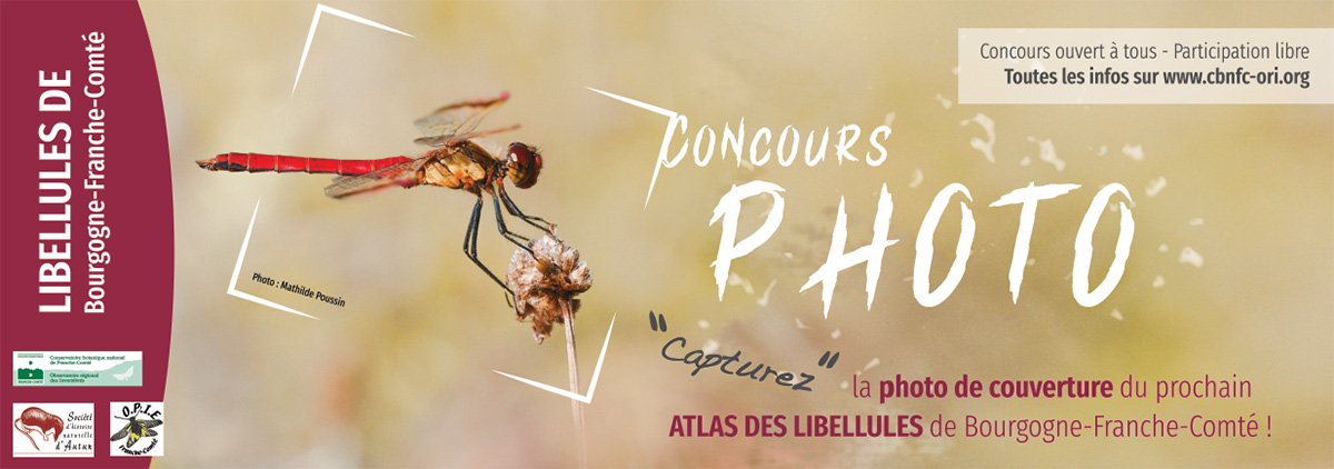 concours photo libellules Bourgogne-franche-Comté