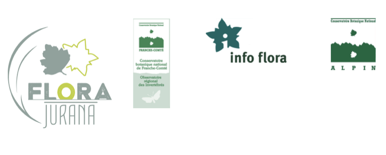 Logos des partenaires du projet flora jurana